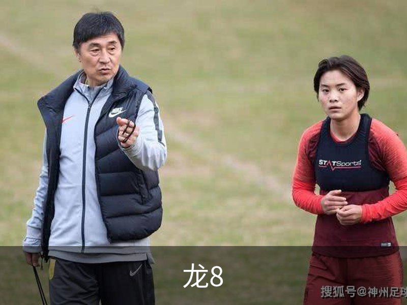 关于龙8